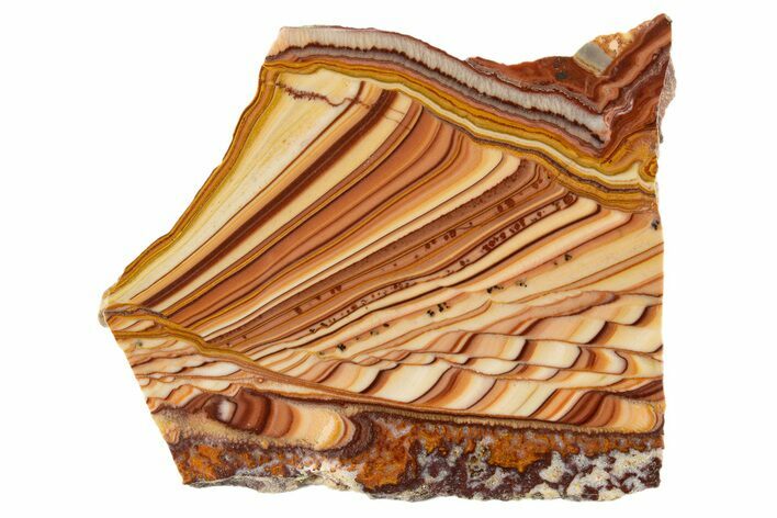 Polished Slab Of Rolling Hills Dolomite - Mexico #324425